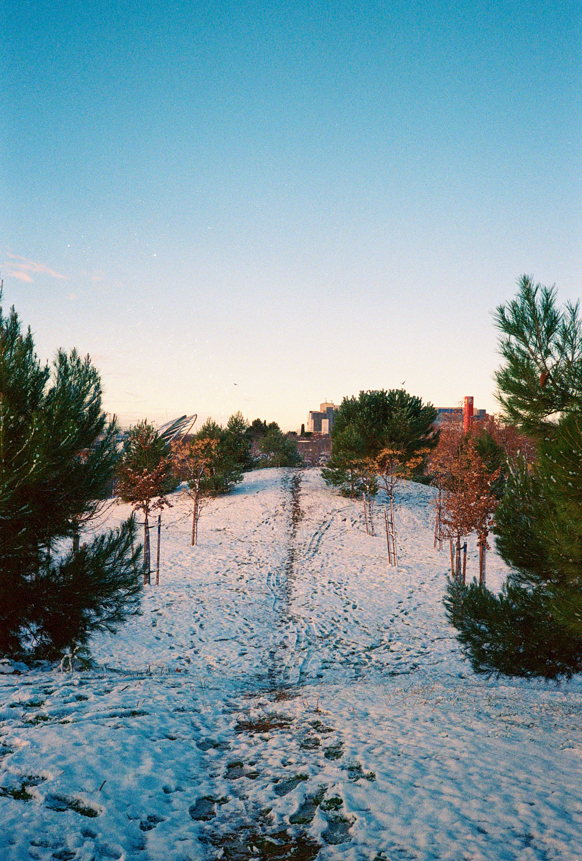 A picture of a snowy hill